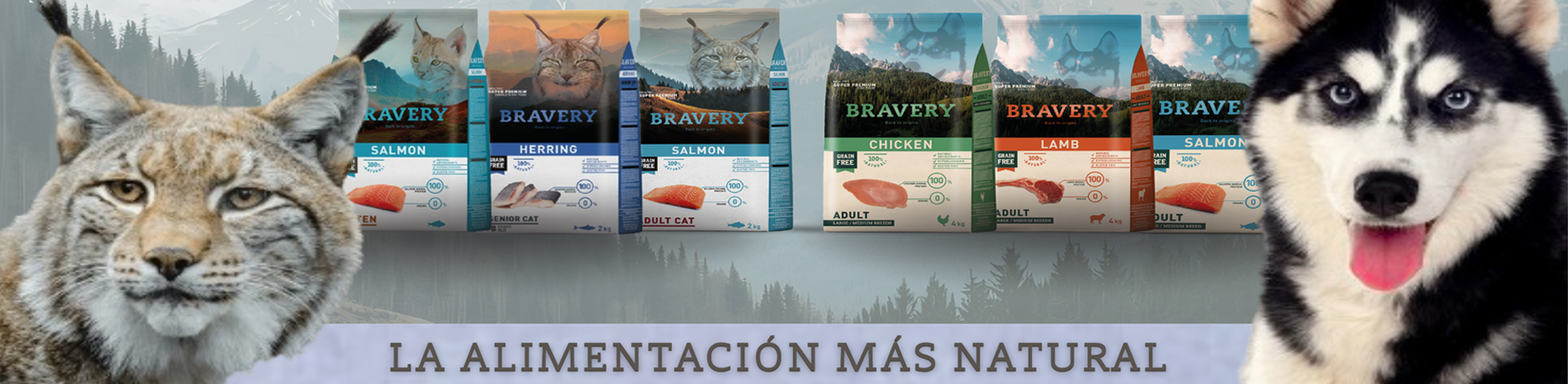 armijopet banner home Bravery