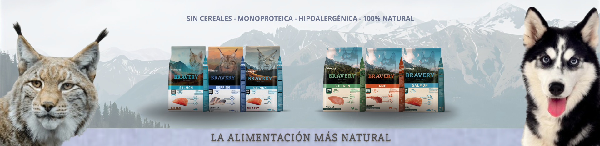 braveryarmijopetbanner